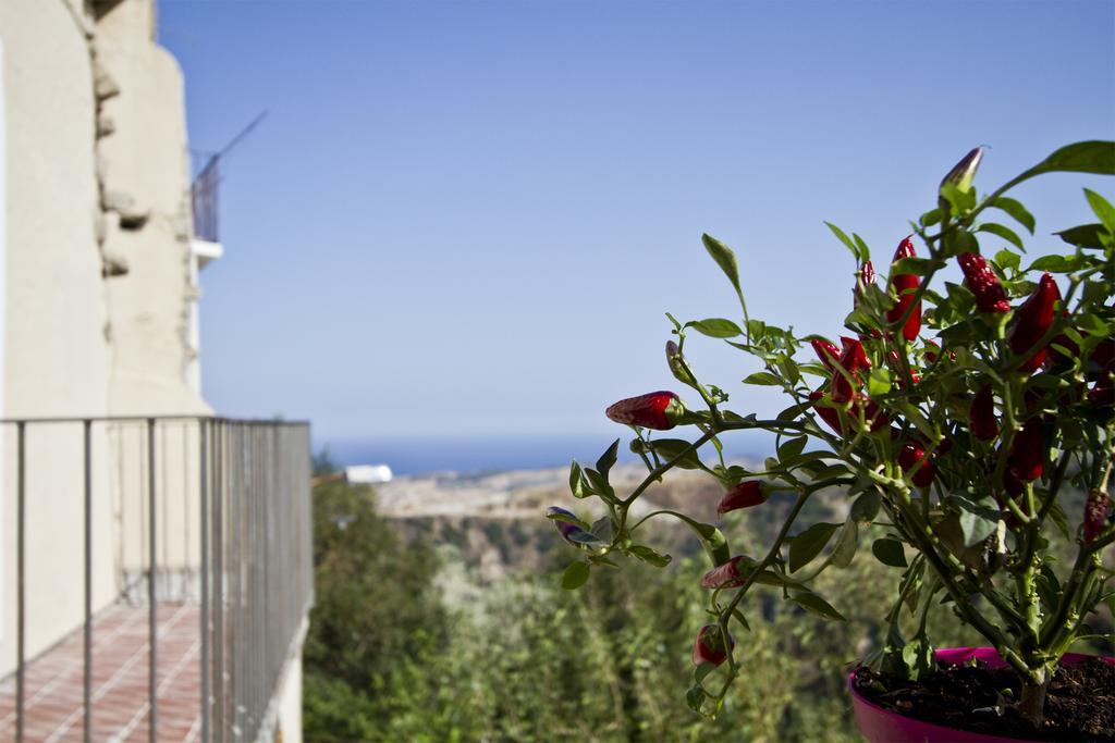 B & B Stillachiara Badolato Marina Exterior foto